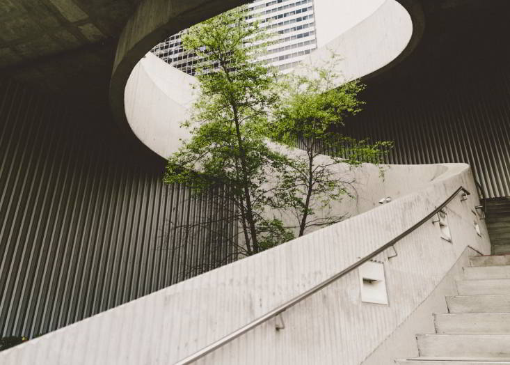 landscape-1
